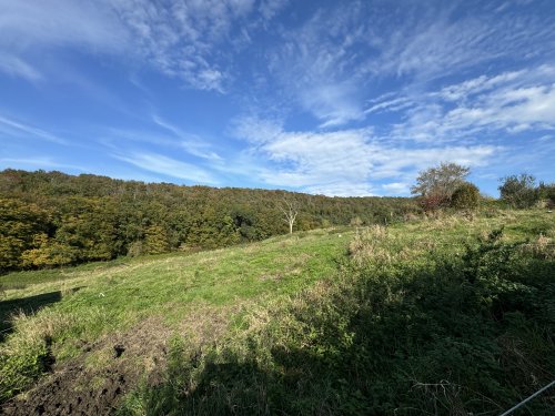 Vaste parcelle de terrain