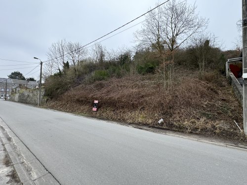 Projet immédiat
