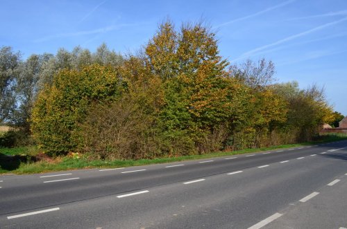 Terrain avec permis octroyé
