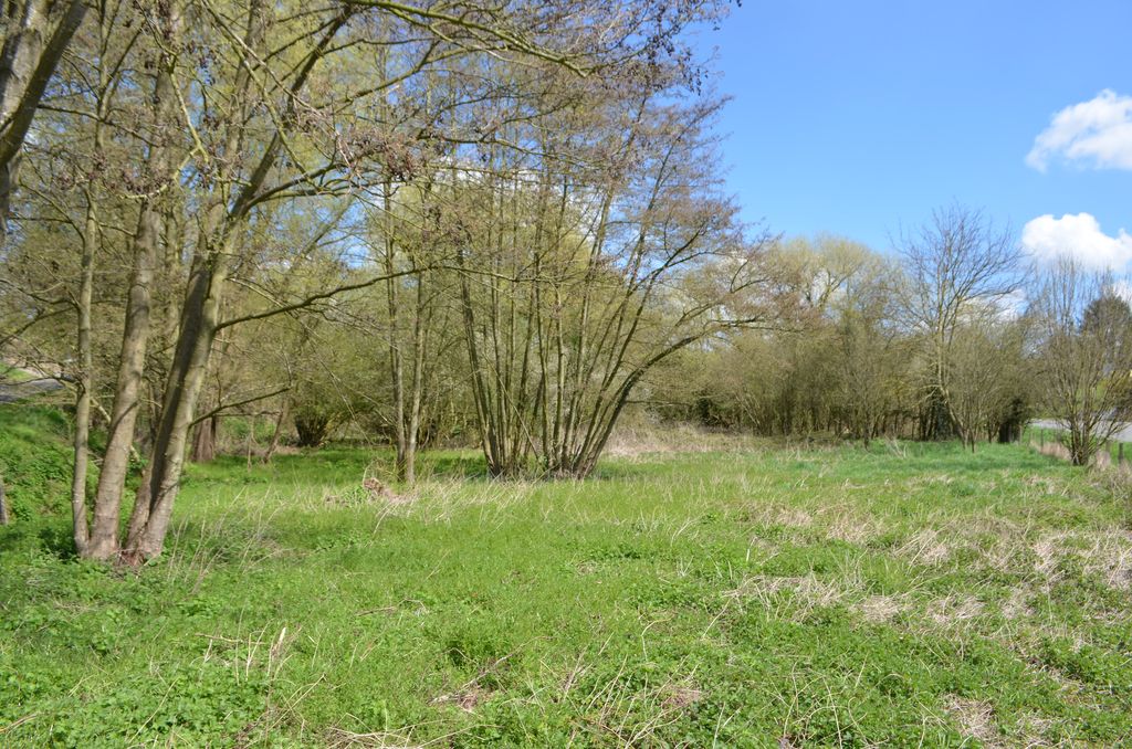 Temploux, superbe façade à rue, très bonne situation