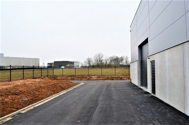 06.JPG