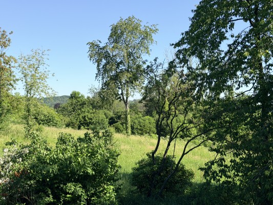 16.JPG