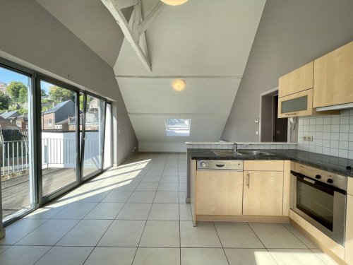 Lumineux appartement 1 chambre + bureau avec terrasse