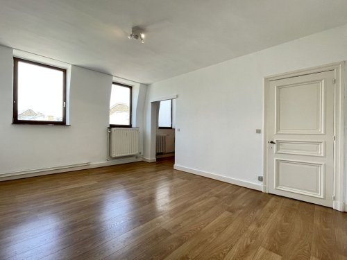 Lumineux appartement 1 chambre