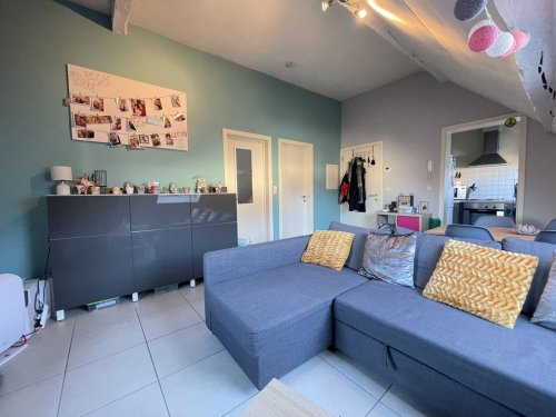 Lumineux appartement 1 chambre