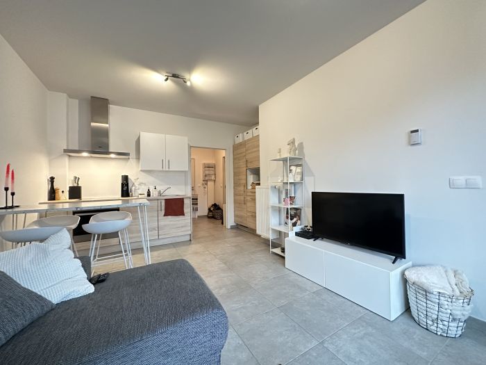 Appartement 1 chambre avec balcon