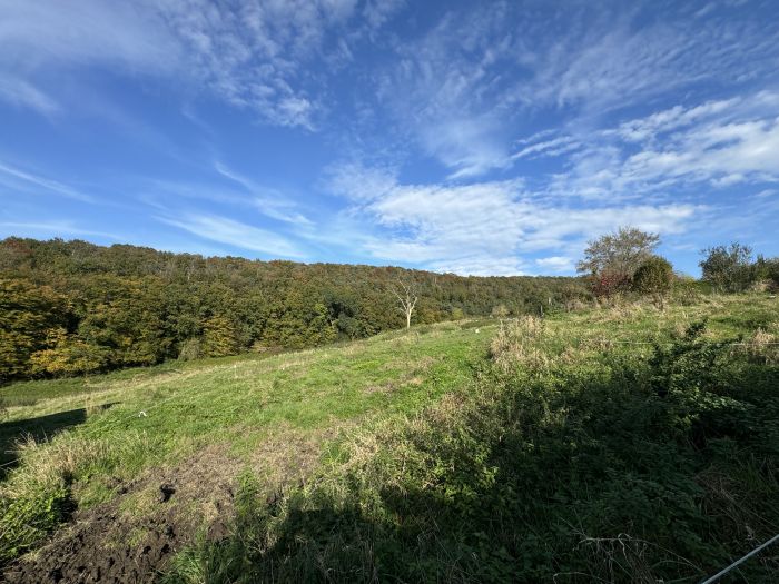 Vaste parcelle de terrain