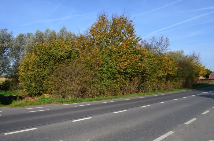 Terrain avec permis octroyé