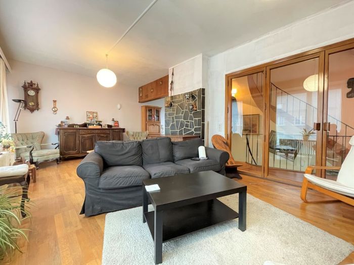 Maison avec jardin et 2 garages