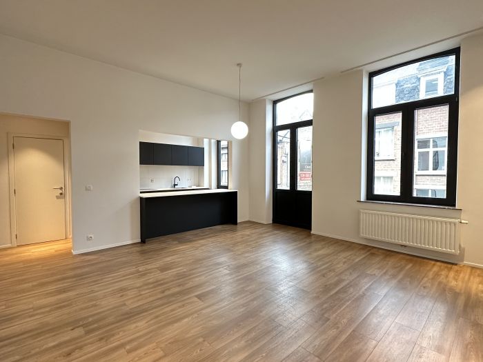 Appartement rénové 1 chambre